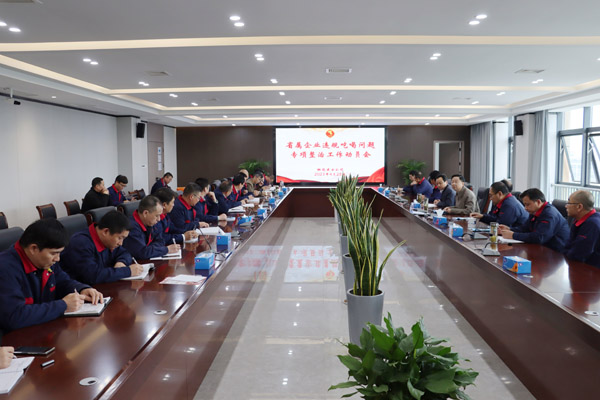 公司召開省屬企業(yè)違規(guī)吃喝問題專項(xiàng)整治工作動員會 公司召開省屬企業(yè)違規(guī)吃喝問題專項(xiàng)整治工作動員會